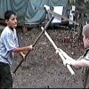 SC2001_87