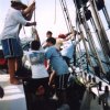seabase2