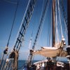 seabase20