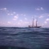 seabase7