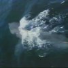 Still_27