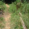 2004 - 2004-trail_work