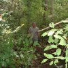 DSCF0006