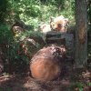 DSCF0009_2