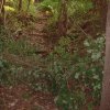 DSCF0014