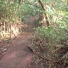 DSCF0015