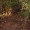 DSCF0016