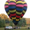 camp_bananas_pets_balloon_signatures_014