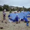 IMG018