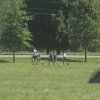 IMG_0012