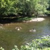 6-22_Creek14