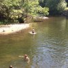 6-22_Creek3