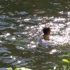 6-22_Creek7