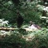 6-22_Horseback3