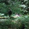 6-22_Horseback4