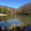 2015 - 2015 Jefferson Memorial Forest