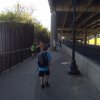 2016 Hike 20 mile