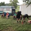 2018 Barren River