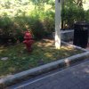 2019_Williamsburg-16