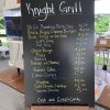 2022 - 2022-Summer Picnic