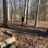 2023-winter-campout