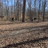 2023-winter-campout